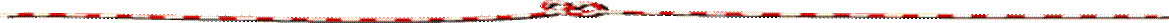 : : : : : : : : : : 020-0316